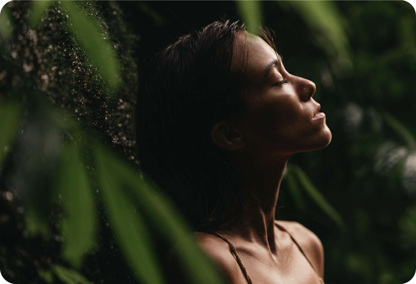 Elevate Your Natural Vitality